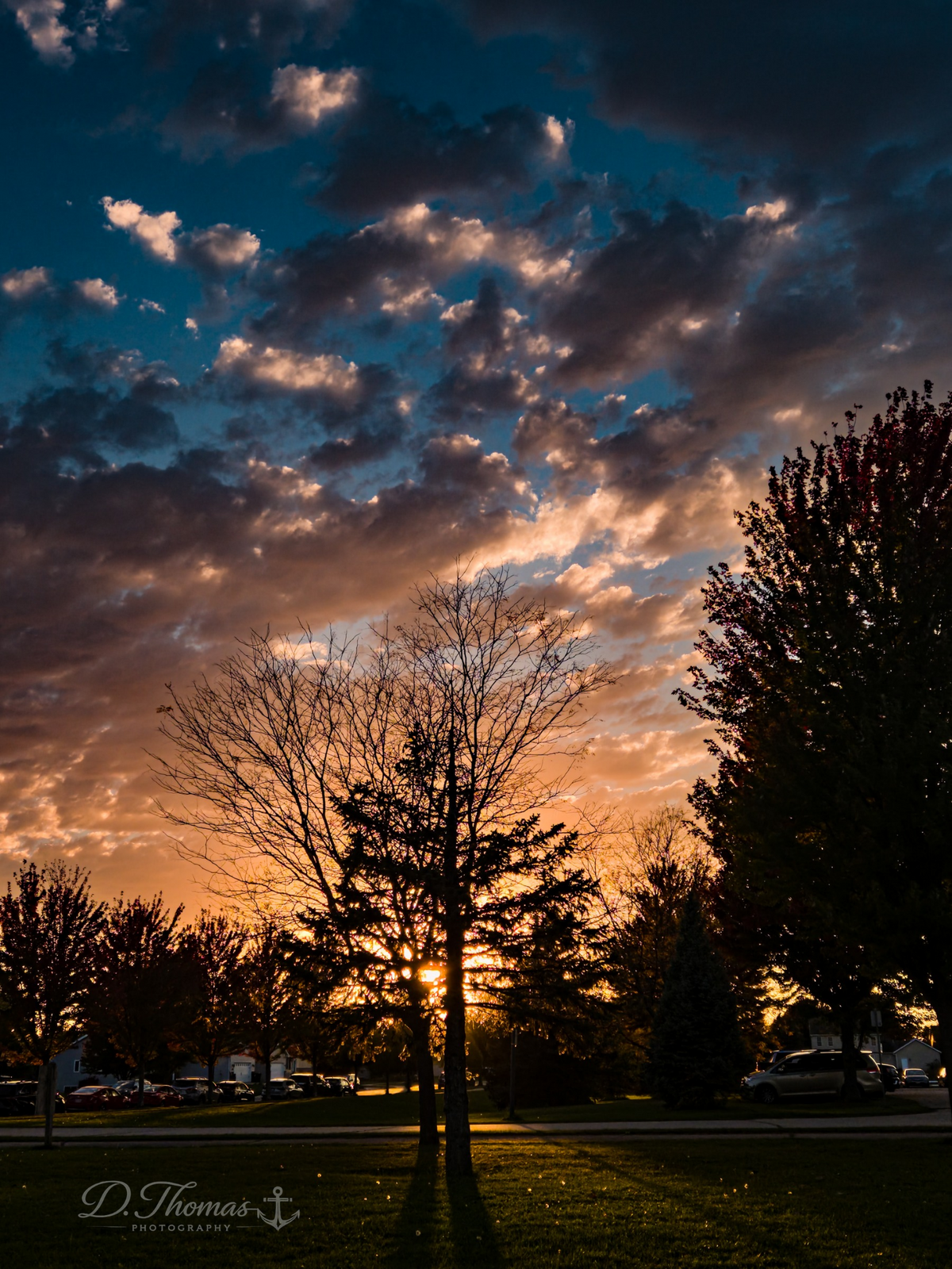 Silhouette against a glowing golden sunset