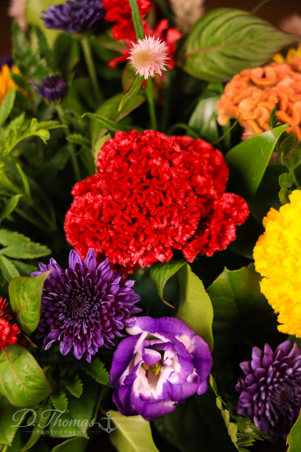 Crimson & Violet Blooms