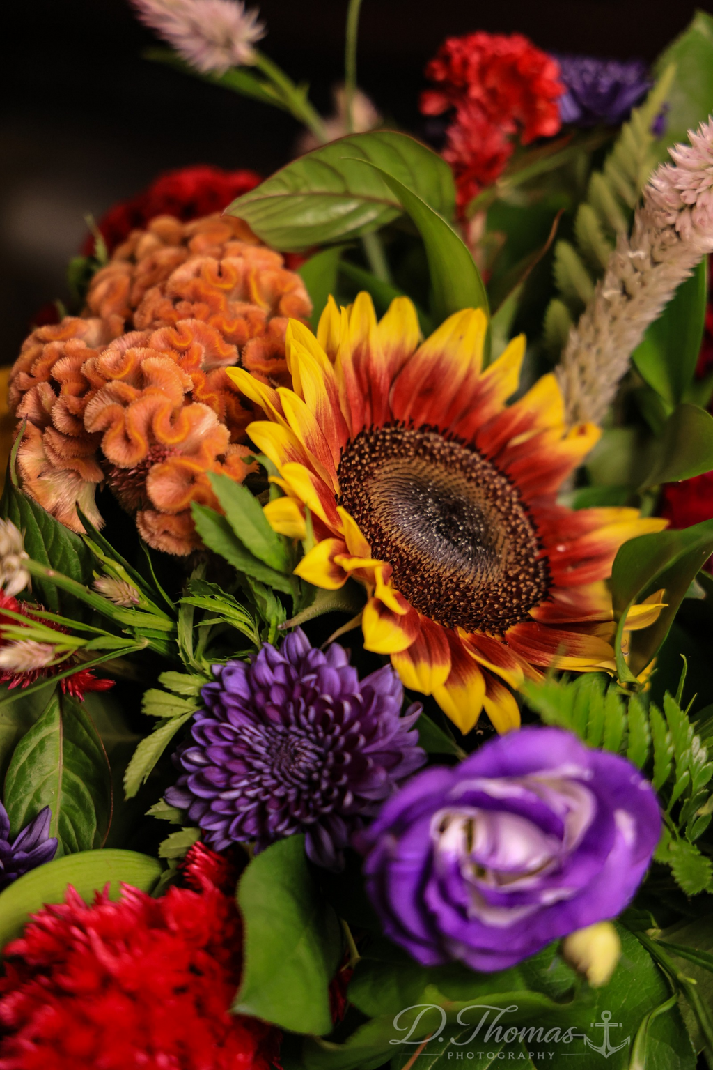 Sunflower Garden Medley
