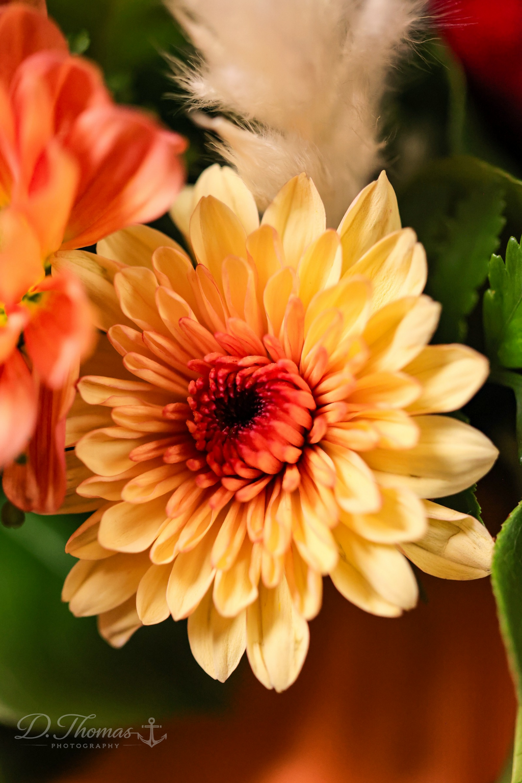 Golden Petal Glow