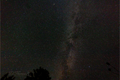 Milky Way stretching over silhouetted trees