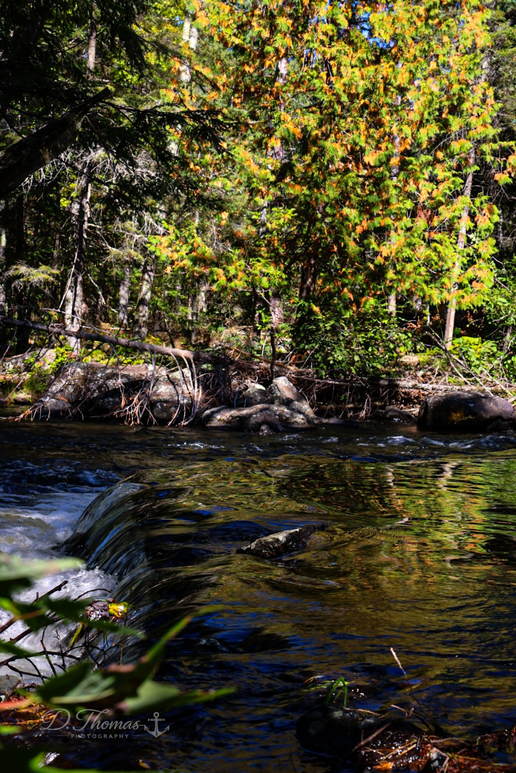 Autumn Waters — D. Thomas Photography