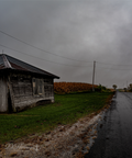 A weathered rural shed beside a rain-darkened country road and autumn cornfield