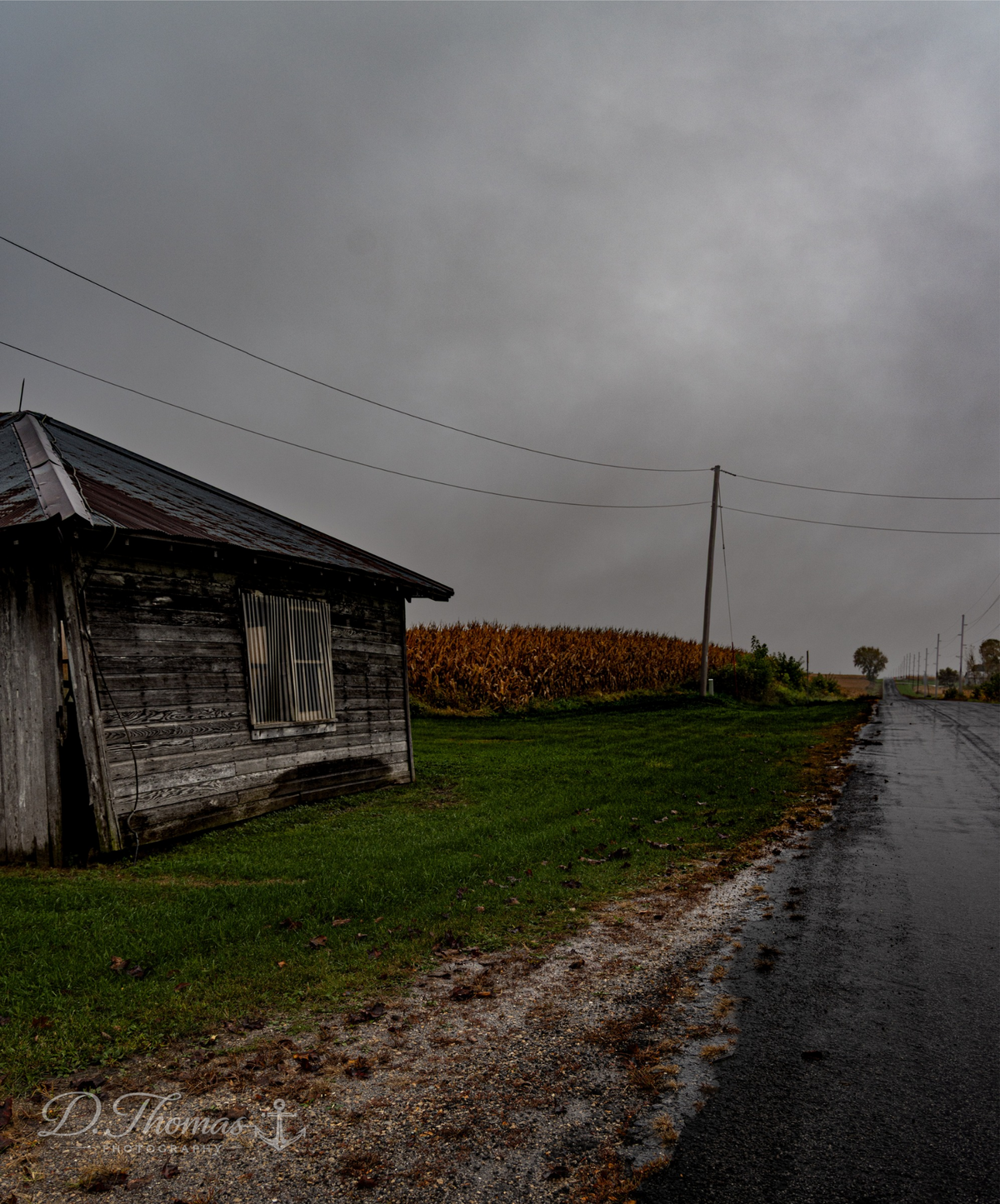 Rain on the County Road — D. Thomas Photography
