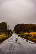 Wet country road winding through autumn trees and fields