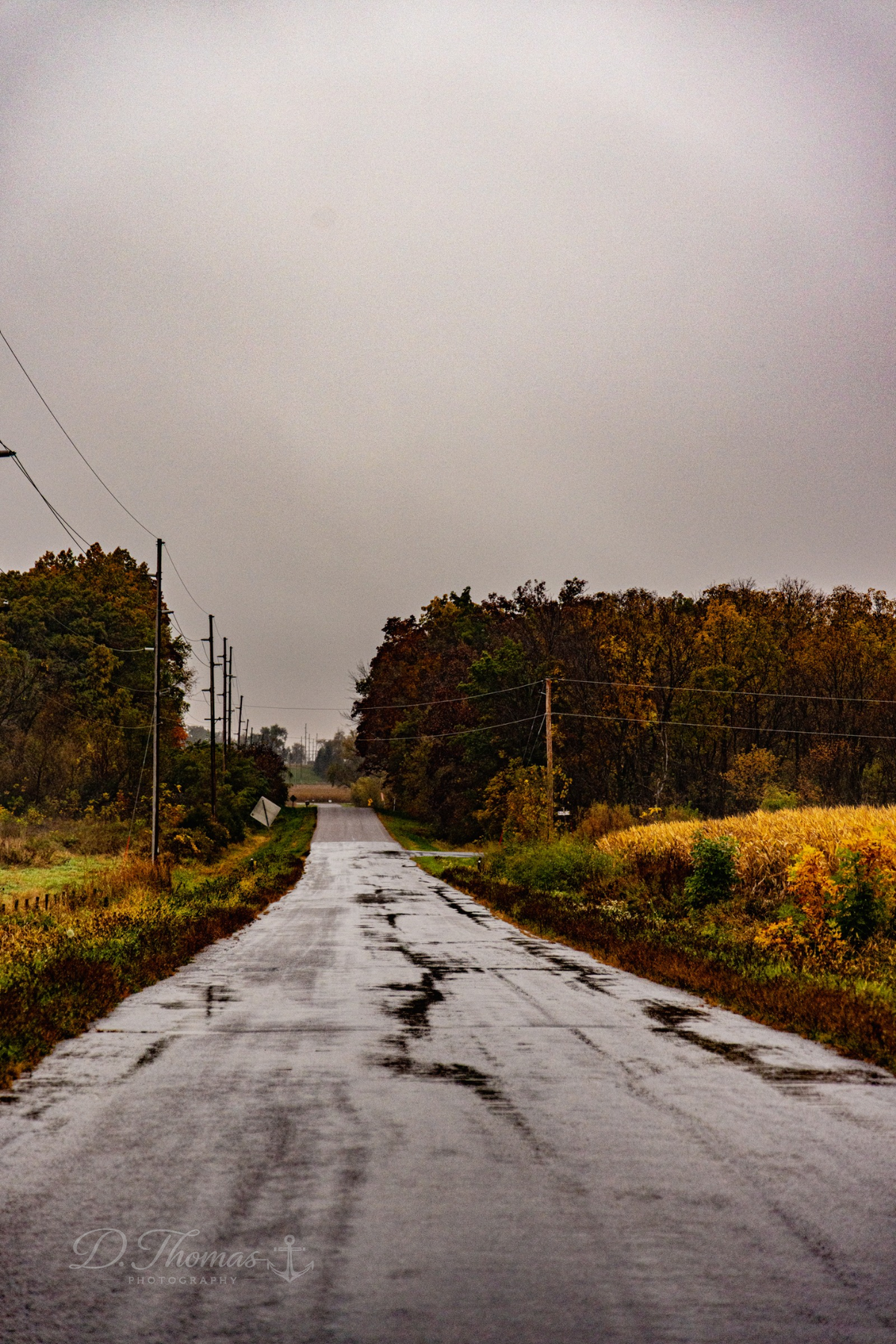Wet country road winding through autumn trees and fields