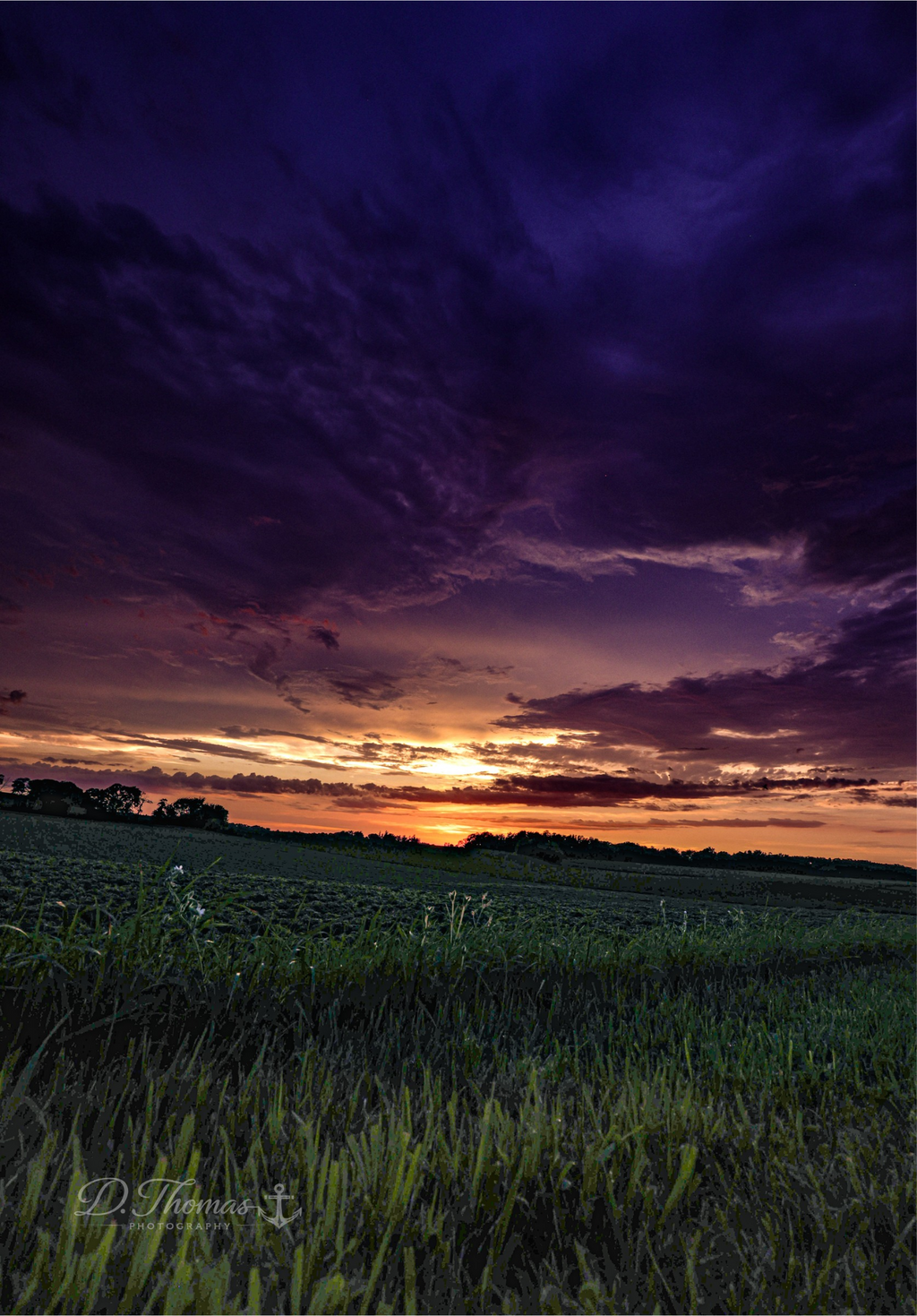 Where Daylight Fades — D. Thomas Photography