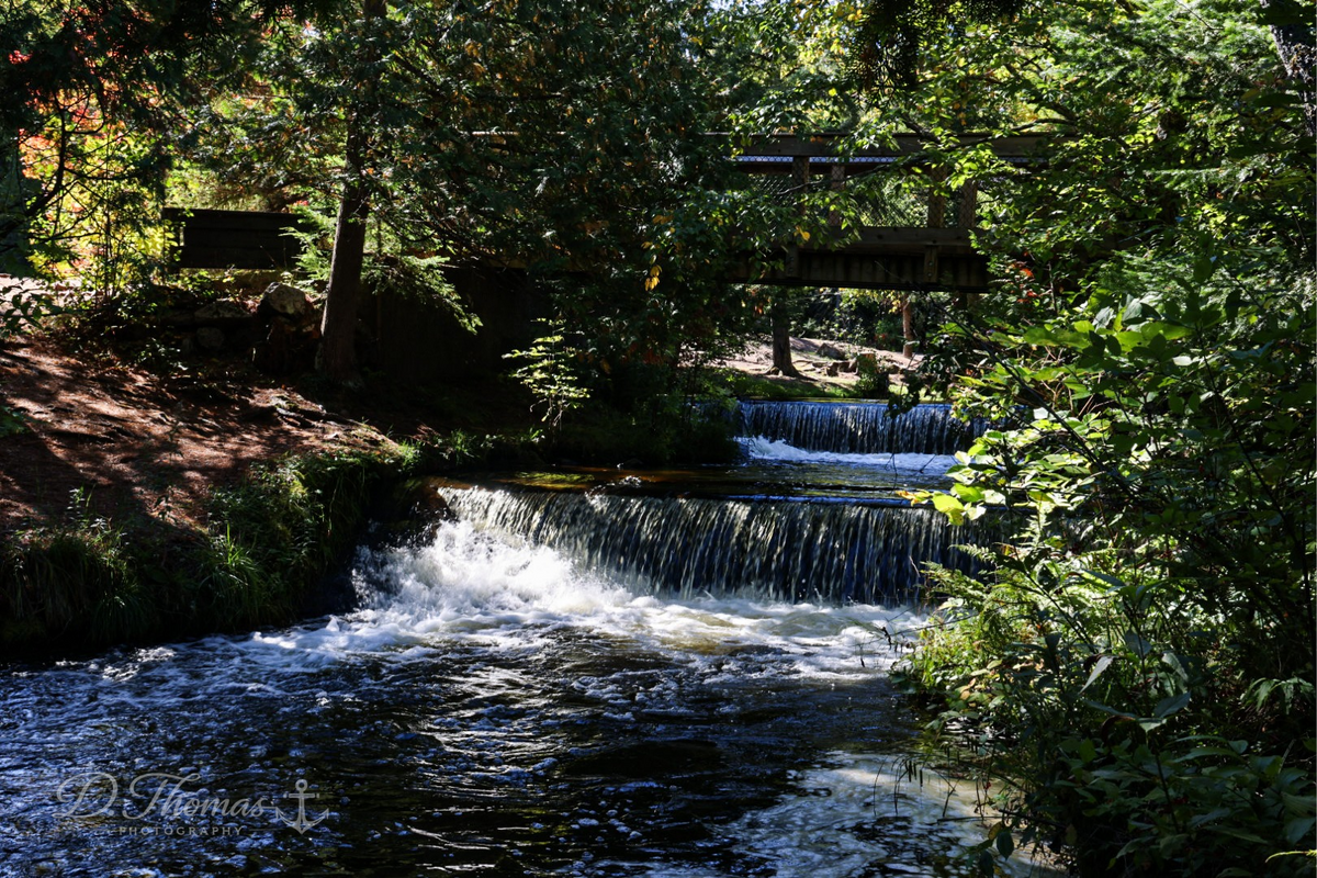Whispering Falls — D. Thomas Photography